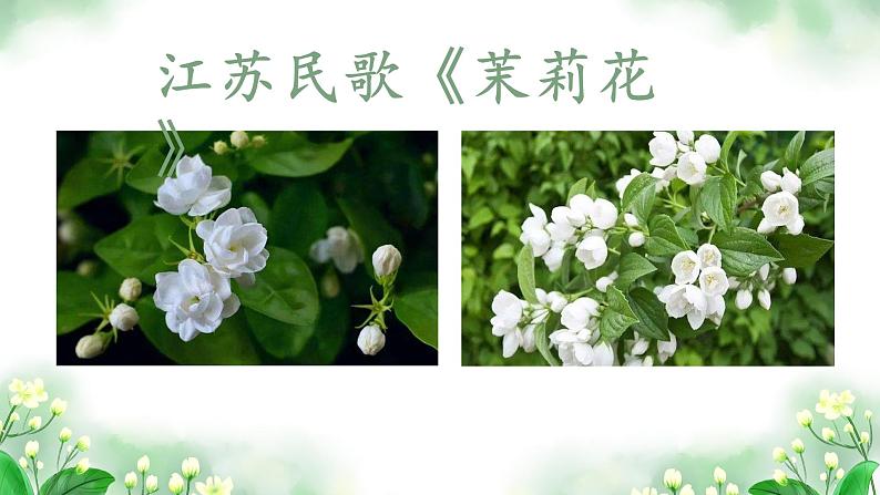 小学音乐 花城版 四年级 第2课 多采的乡音(四)《茉莉花》pptx 课件第3页