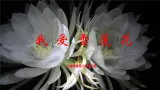 【核心素养目标】人音版音乐二下8.4 我爱雪莲花 课件+教学设计+素材