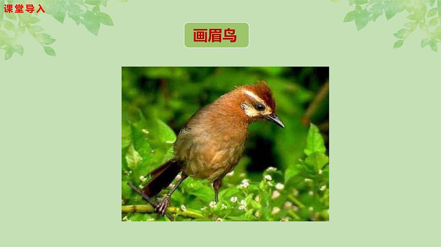 【核心素養(yǎng)目標(biāo)】人音版音樂(lè)五下1.3 小鳥(niǎo)小鳥(niǎo) 課件第6頁(yè)