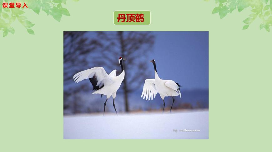 【核心素養(yǎng)目標(biāo)】人音版音樂(lè)五下1.3 小鳥(niǎo)小鳥(niǎo) 課件第8頁(yè)