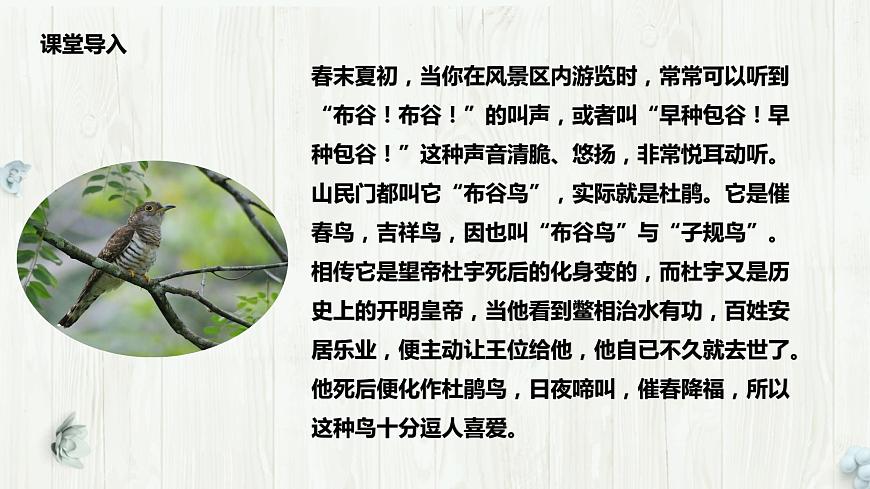 【核心素養(yǎng)目標(biāo)】人音版（2012）音樂三下3.3 頑皮的杜鵑 課件第5頁