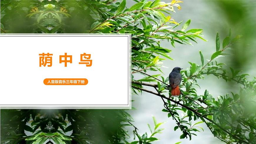 【核心素養(yǎng)目標(biāo)】人音版（2012）音樂三下3.2 蔭中鳥 課件第1頁