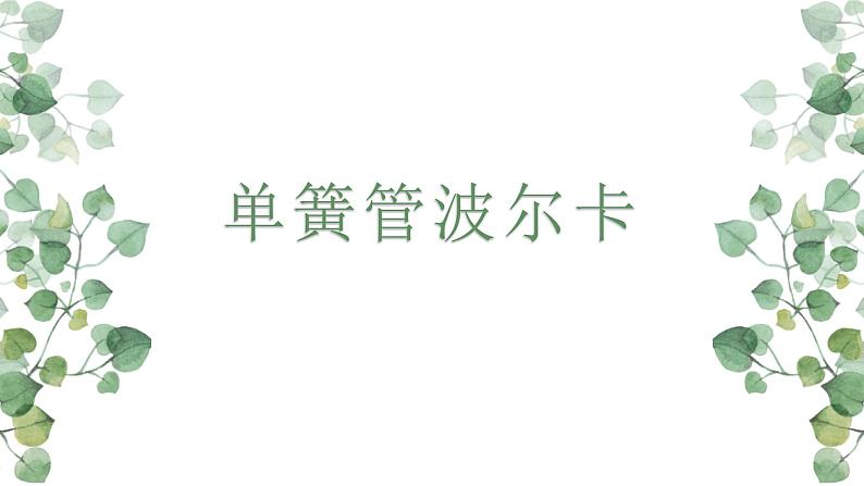 人教版音乐六年级下册《单簧管波尔卡》PPT课件+教案+音频素材01