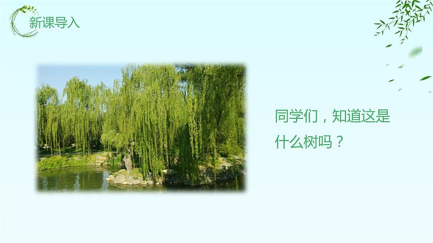【核心素養(yǎng)目標(biāo)】人教版（2012）音樂(lè)一下2.4  柳樹(shù)姑娘 課件第5頁(yè)