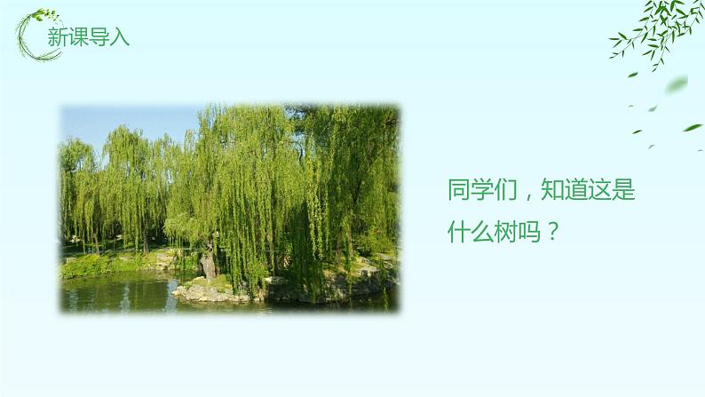 【核心素养目标】人教版(2012)音乐一下2.4 柳树姑娘 课件+教学设计+音视频素材05