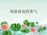 苏少版一下音乐 《闻着荷花的香气》 课件（无教案）