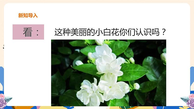 人音版六上音乐 第一课《茉莉花》(东北、河北、江苏民歌)课件+教案+音视频素材04