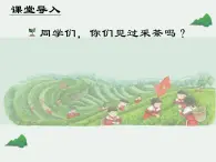 鲁教版四年级下音乐少先队员采茶歌最新课件