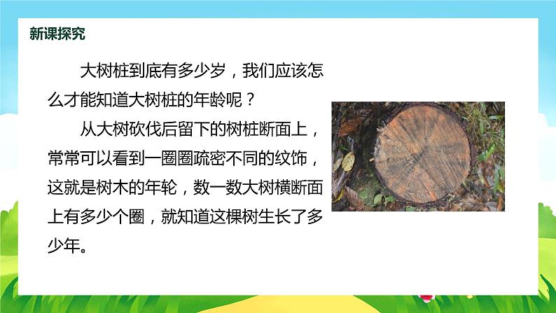 【核心素养目标】人教版(2012)音乐三年级上6.3 大树桩你有几岁 课件+教学设计+素材07