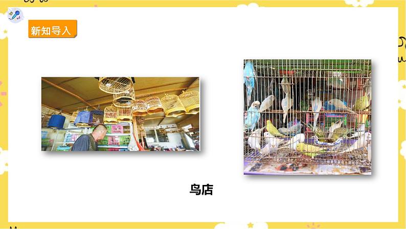 【人教版】三上音乐 第六课第2课时《鸟店》课件+教案+素材03