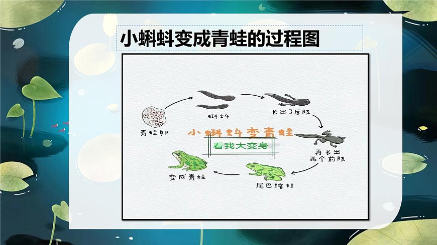 花城版小學音樂一年級上第七課《聽聽聲音的高低》課件PPT第6頁