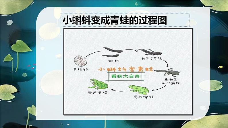 花城版小学音乐一年级上第七课《听听声音的高低》课件PPT06