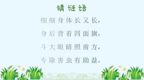 小学音乐小蜻蜓教案配套课件ppt