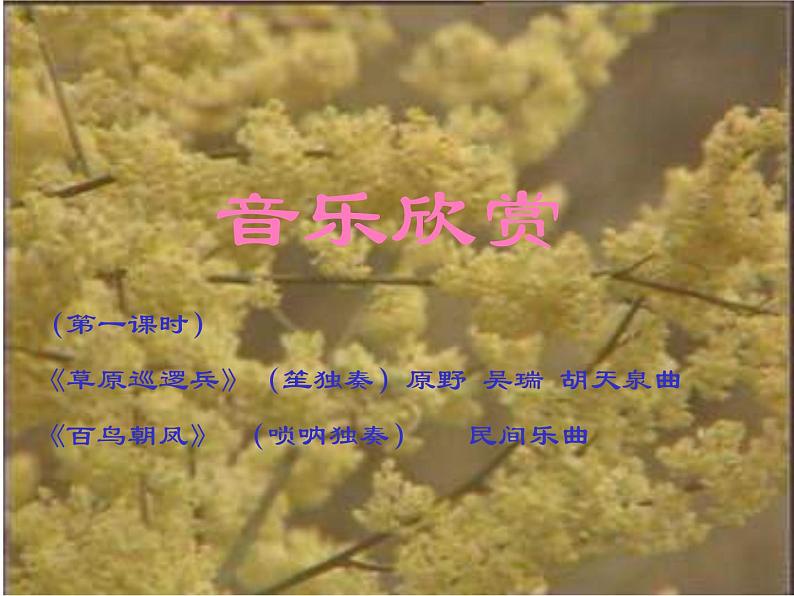 音乐-人音版(简谱)-二年级上-第3课--百鸟朝凤(片段)--课件(9-张PPT)第3页