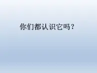 普通 人教版一年级上册音乐教案第一单元 唱歌 大鼓和小鼓(简谱)课件