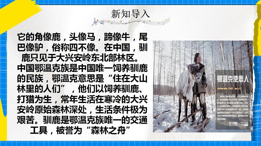 人教版音樂五年級(jí)下冊(cè)1.1《馴鹿》課件第8頁