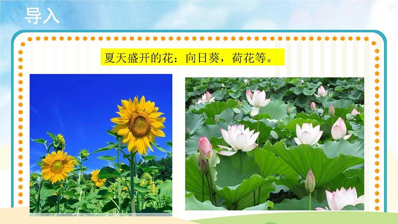 【教学课件】《采花》示范课件03