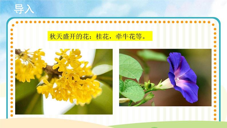 【教学课件】《采花》示范课件04