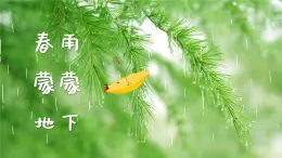 春雨蒙蒙地下课件PPT