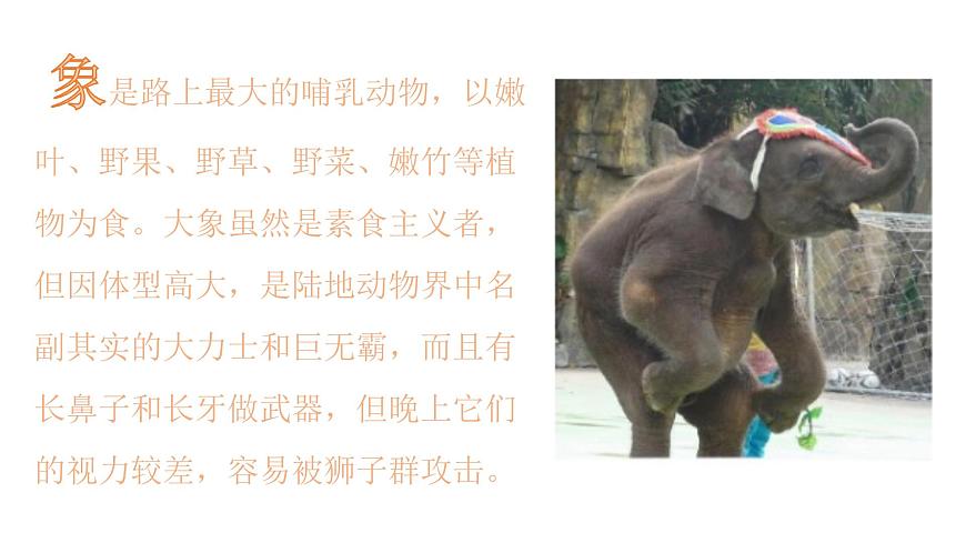 可愛的小象課件  人音版音樂一年級(jí)下冊(cè)課件第5頁(yè)