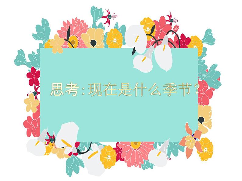 鲁教版二年级下册第一单元第一课 郊游 课件 PPT第2页