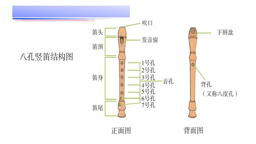 花城版音樂四上第二課（下）《學(xué)吹豎笛》課件第7頁