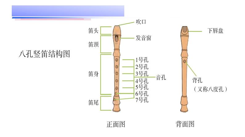 花城版音乐四上第二课(下)《学吹竖笛》课件07