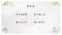 《可爱的小象》课件  人音版（2012）音乐一年级下册