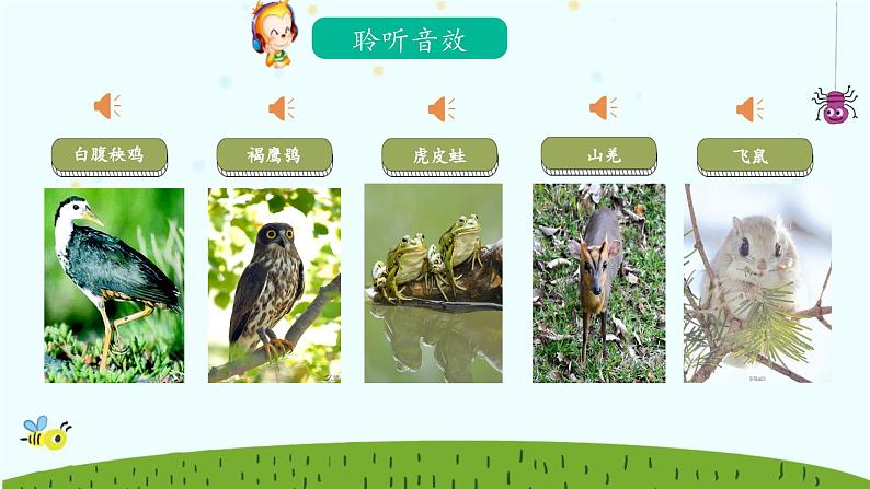 《森林狂想曲》课件 人音版(2012)音乐四年级下册03