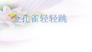 小学音乐西师大版二年级下册唱歌 金孔雀轻轻跳备课ppt课件