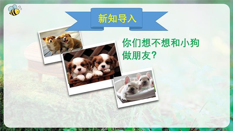 【人音版】一上音乐 第一单元《口哨与小狗》教案+课件+素材06