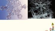 小学音乐西师大版二年级上册唱歌 欢乐的小雪花授课ppt课件