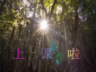 花城版（简谱）音乐二年级上册6（简谱） 欣赏 管弦乐曲《狮王进行曲》课件