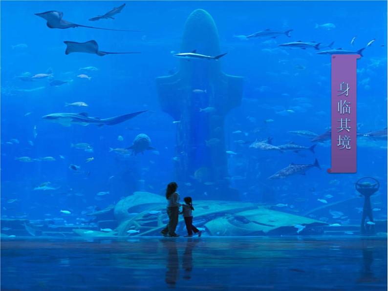 苏少版音乐(简谱)二年级上册 第六单元 水族馆 都睡着了_课件第6页
