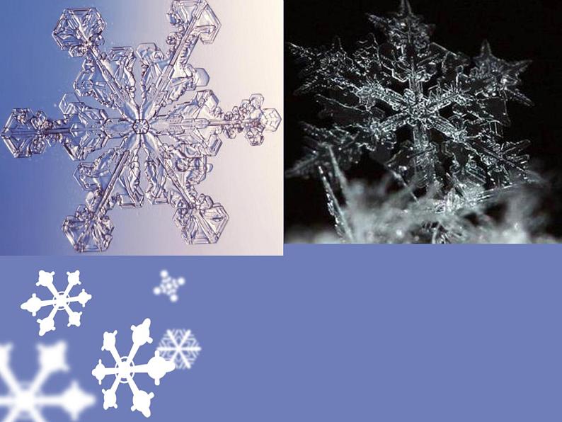 苏少版音乐(简谱)二年级上册 第八单元 小雪花 过新年_课件第5页