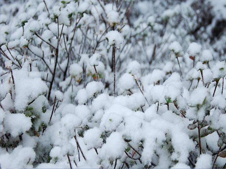 苏少版音乐(简谱)二年级上册 第八单元 小雪花 过新年_课件第7页
