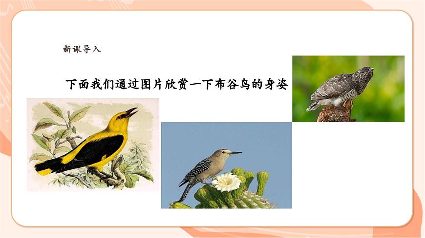 【新課標(biāo)新教材】花城版音樂(lè)一年級(jí)上冊(cè)-《布谷叫，春天到》課件第5頁(yè)