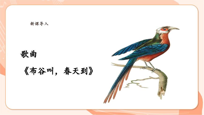 【新課標(biāo)新教材】花城版音樂(lè)一年級(jí)上冊(cè)-《布谷叫，春天到》課件第7頁(yè)
