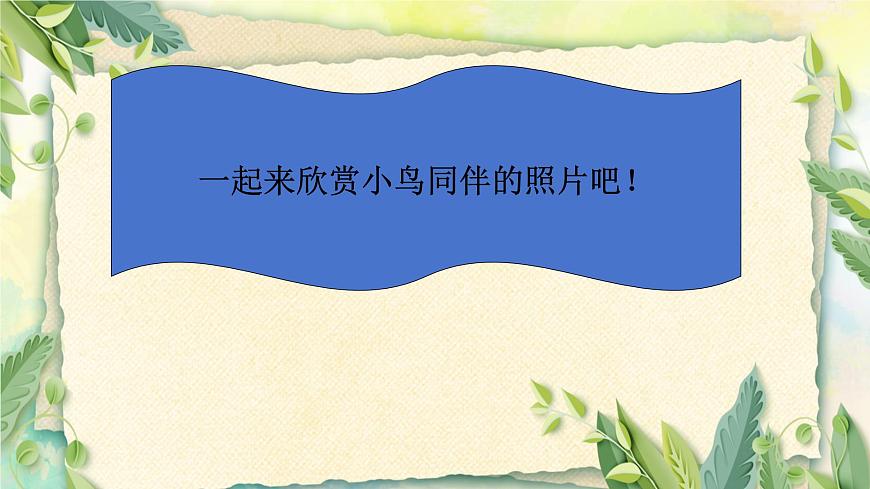 人音版小學五年級音樂下冊第一單元《小鳥小鳥》課件第7頁