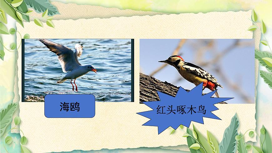 人音版小學五年級音樂下冊第一單元《小鳥小鳥》課件第8頁