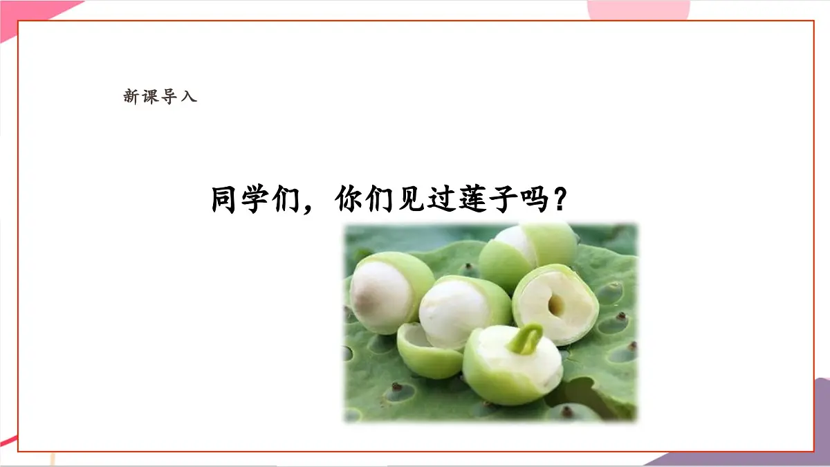 【新课标】花城版音乐五年级上册-《采莲谣》课件第4页