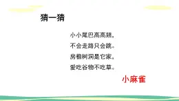 人音版（2024）小學音樂 二上第1課《小麻雀》課件