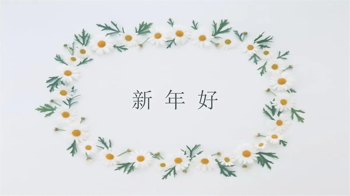 人音版小学音乐 一上第8课《新年好》课件第3页
