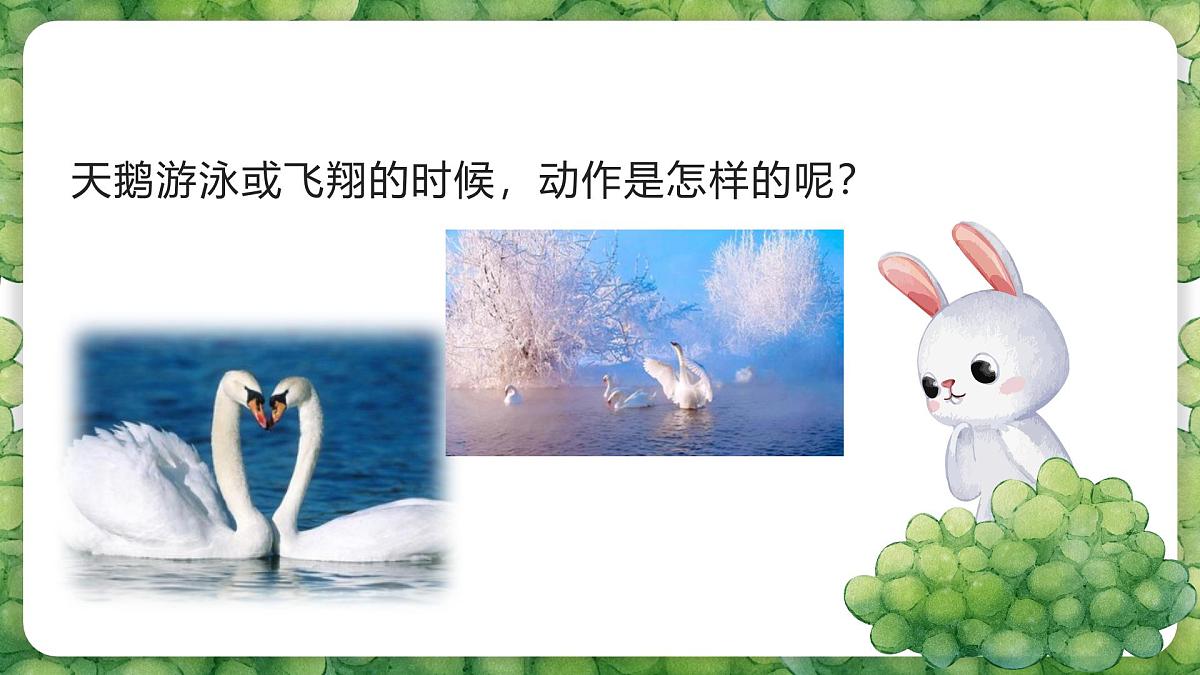 人音版二年级上册音乐第四节《四小天鹅舞曲》课件第8页