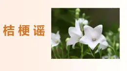人音版（2024）三年級(jí)上冊(cè)第三單元《桔梗謠》教案+課件+素材