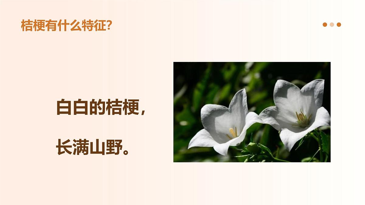 人音版(2024)三年级上册第三单元《桔梗谣》课件第8页
