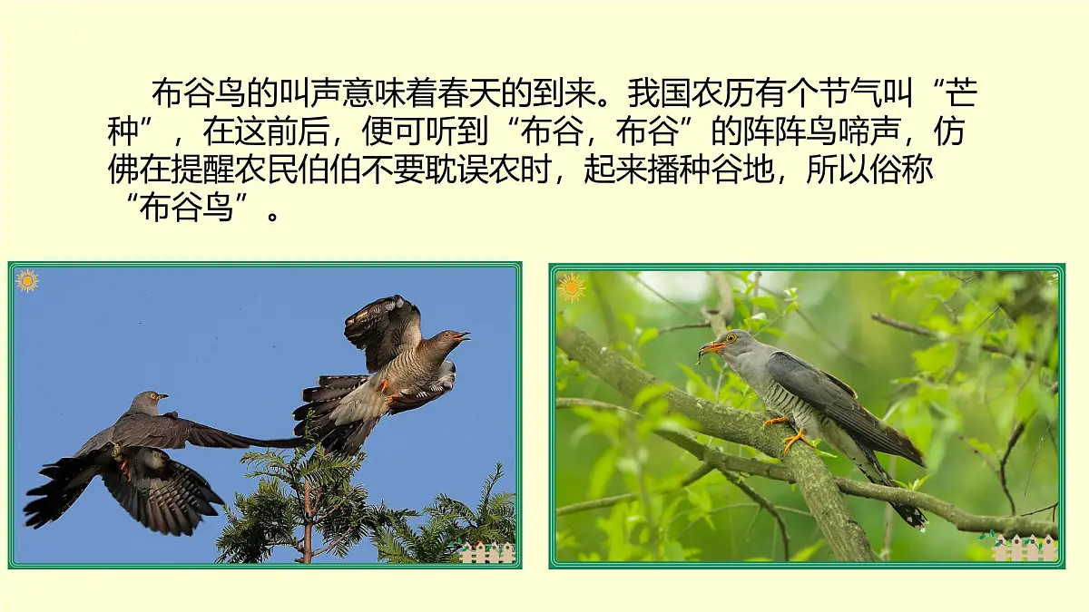 人音版一年级上册音乐第六单元《布谷》课件(含音视频)第4页