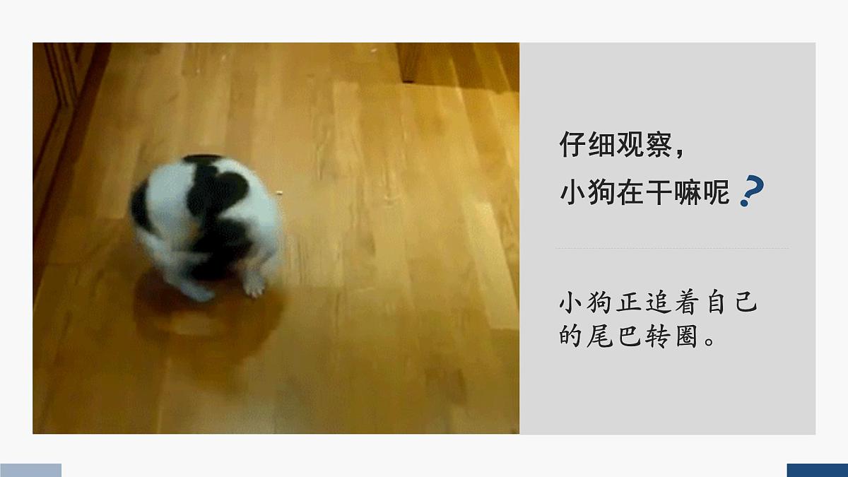 人教版二年级音乐上册 小狗圆舞曲(课件)第2页
