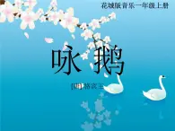 13.2 唱游《咏鹅》课件（11张）