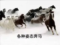 3《奔馬圖》PPT課件+教案+視頻文字素材
